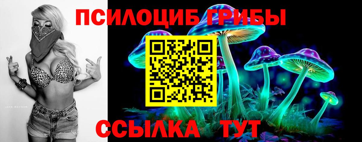 Старая Купавна  Псилоцибиновые грибы Psilocybe  Вход с VPN 